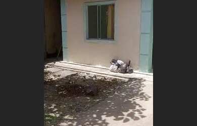 Imagem 7: Alugo CASA em LAGARTO-SE. Varanda, 200m² de Área, 2 Vagas na garageme2...