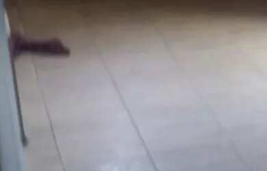 Imagem: A casa possui 3 Dormitórios, 2 Banheiros, 1 Vaga na garagem