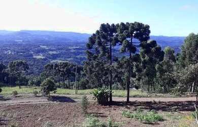 Imagem: O terreno possui 26m² de Área e está localizado em Nova Petrópolis