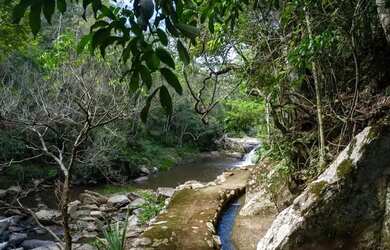Imagem 6: Sítio 5,5Hec, 55.000m2, 2 Cachoeiras, 2 Lagos, Suítes, Zona Rural -...