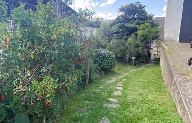 Imagem 3: Terreno Bairro Sagrada Família