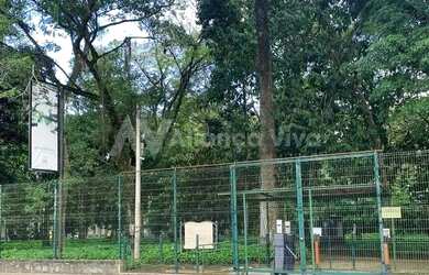 Imagem: Jardim Botânico