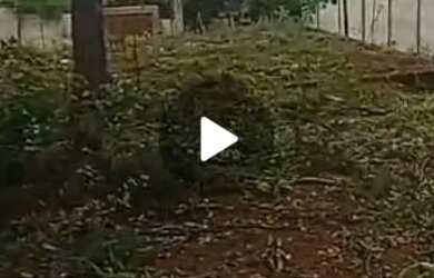 Imagem: O terreno possui 400m² de Área e está localizado em Jardim