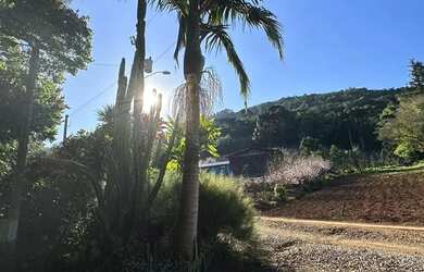 Imagem 7: Excelente Sítio à venda com 4.8 hectares em Linha Olinda. Nova Petrópolis...