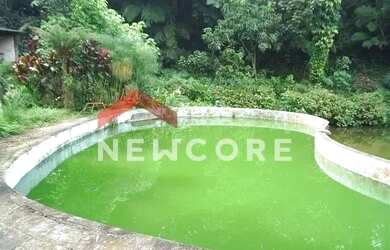 Imagem 7: Chácara em Rua das Palmeiras - Jardim Pinheirinho - Embu das Artes/SP