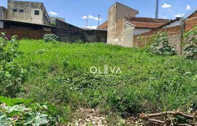 Imagem 5: Terreno à venda, 330 m² por R$ 235.000 - Vila Angélica - São José...