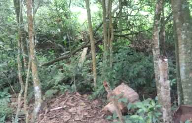 Imagem 13: LOTES LINDOS- Oportunidade Única para venda possui 500 metros quadrados em Lageadinho - I