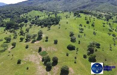 Imagem 7: Fazenda à Venda em Sanclerlândia - GO 39 Alqueires 100 Cultura