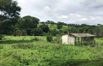 Imagem 7: Alugo Pasto Abadia de Goiás 3 Alqueire com água