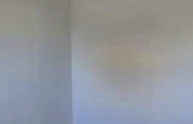 Imagem 14: Apartamento, 2d com vaga, bairro Morro Santana