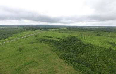 Imagem 12: Fazenda de 280 hectares no Pará R$ 2,7 milhões reais,200 hectares de pasto