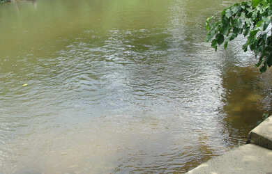 Imagem: A chácara possui 15m² de Área e está localizado em Barbado