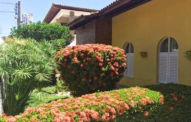 Imagem: A casa em condomínio possui 3 Dormitórios, 3 Banheiros, 2