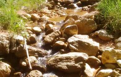 Imagem: A chácara possui 10.000m² de Área e está localizado em