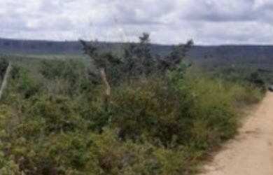 Imagem 3: Vendo fazenda. 