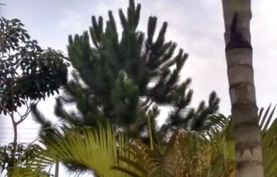 Imagem 5: CHACARA EM ITUPEVA