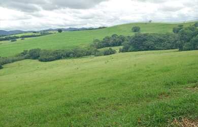 Imagem 12: fazenda em 3 corações 987 hectares 53.000.000.00 edi-pv