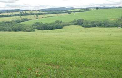 Imagem 10: fazenda em 3 corações 987 hectares 53.000.000.00 edi-pv