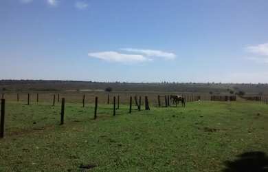 Imagem: A fazenda possui 1.095m² de Área e está localizado em Centro
