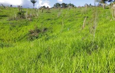 Imagem: A fazenda possui 7.744.000m² de Área e está localizado em