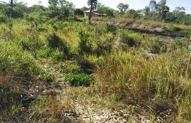 Imagem 2: Lote 520 metros em Luis Alves