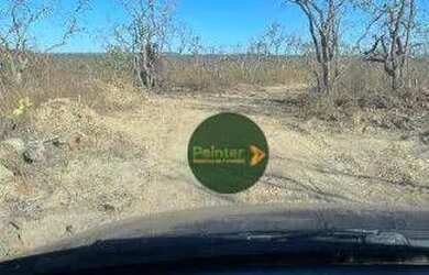 Imagem 8: Fazenda à venda, 13400000 m² por R$ 200.000.000,00 - 256 - Tesouro/MT