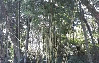 Imagem 4: Área de terras com vista deslumbrante para o vale e montanhas. Linha...
