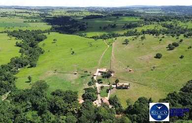 Imagem 14: Fazenda à Venda em Sanclerlândia - GO 39 Alqueires 100 Cultura