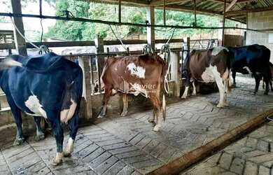 Imagem: Fazenda à Venda em Mimoso do Sul 49 Alqueires com Estrutura