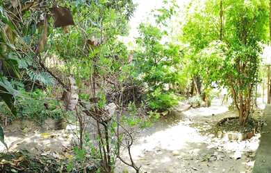 Imagem 10: Lote em Betim, Cruzeiro, 196 mil