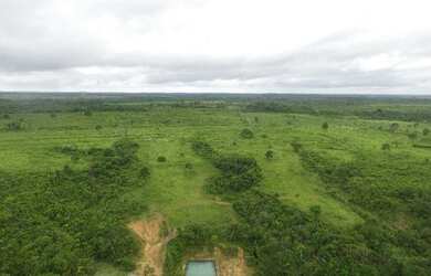 Imagem 13: Fazenda de 280 hectares no Pará R$ 2,7 milhões reais,200 hectares de pasto