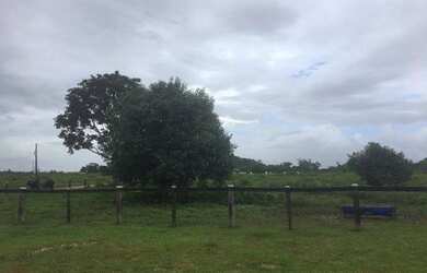 Imagem 2: Fazenda de 280 hectares no Pará R$ 2,7 milhões reais,200 hectares de pasto