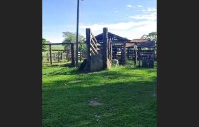 Imagem 1: Fazenda Top 133 Alqueires ITapuranga 120 mil por Alqueires