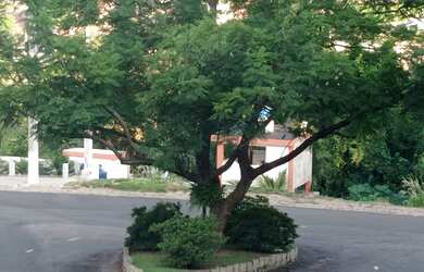 Imagem 10: CHACARA EM ITUPEVA