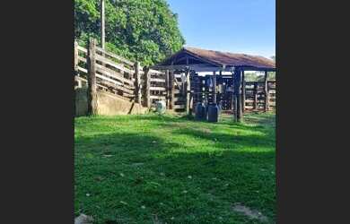 Imagem 7: Fazenda Top 133 Alqueires ITapuranga 120 mil por Alqueires