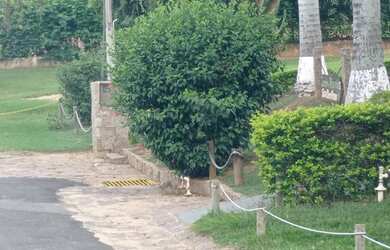 Imagem 12: CHACARA EM ITUPEVA