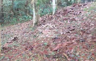 Imagem: Arujá - Loteamento/Condomínio - ARUJAZINHO IV