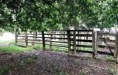 Imagem: A fazenda possui 20.000m² de Área e está localizado em Centro