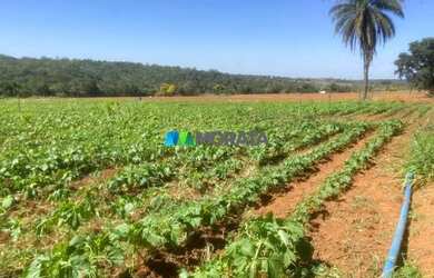 Imagem: A fazenda possui 967m² de Área e está localizado em Cordisburgo