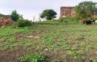 Imagem 4: Terreno 7x35. 