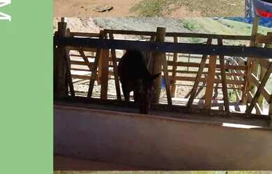 Imagem: A chácara está localizado em Centro, Juiz de Fora à venda