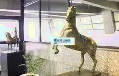 Imagem: O depósito possui 5 Vagas na garagem, 292m² de Área e está