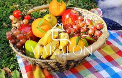 Imagem 9: TERRENO EM GRAMADO. 627m² de Área