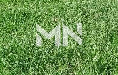 Imagem 5: Lote condomínio à venda, Condomínio Villas do Golfe - Itu/SP