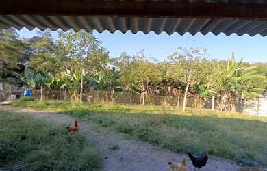 Imagem 12: Chacara local alto e ensolarado