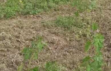 Imagem 1: Terreno. 2.300m² de Área