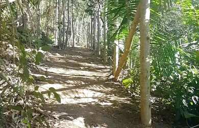 Imagem: O terreno possui 1.736m² de Área e está localizado em Silva