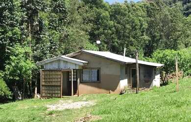 Imagem 11: Sítio - Bairro Carazal. 111.900m² de Área