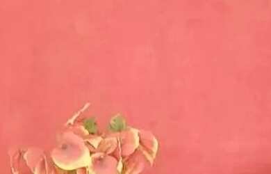 Imagem 6: MARAVILHOSA CASA EM AREMBEPE COMPORTANTO ATE 15 PESSOAS