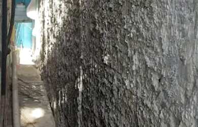 Imagem 4: Casa. Varanda, 2 Vagas na garageme3 Dormitórios